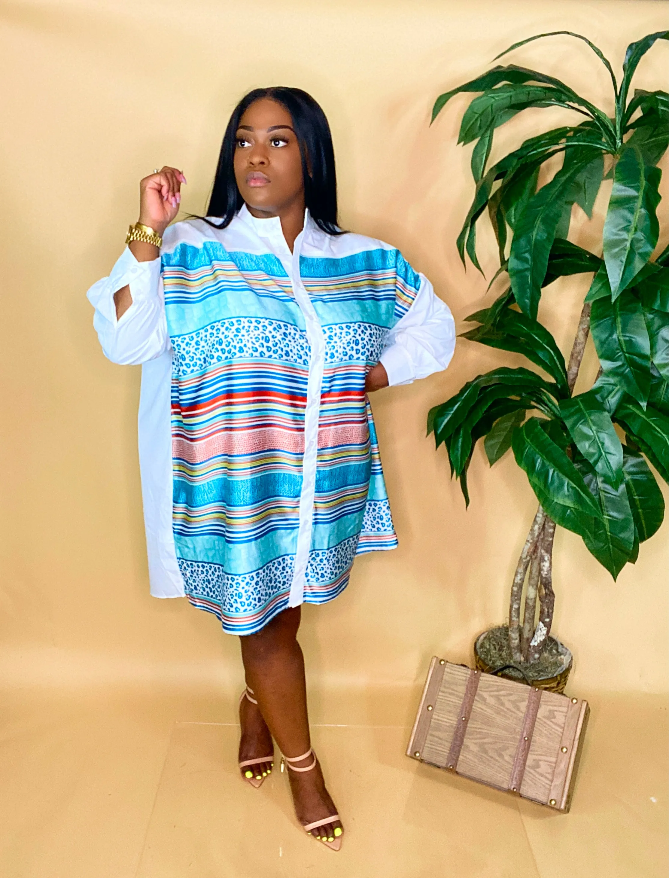 SIMPLY SOPHISTICATED BUTTON DOWN DRESS